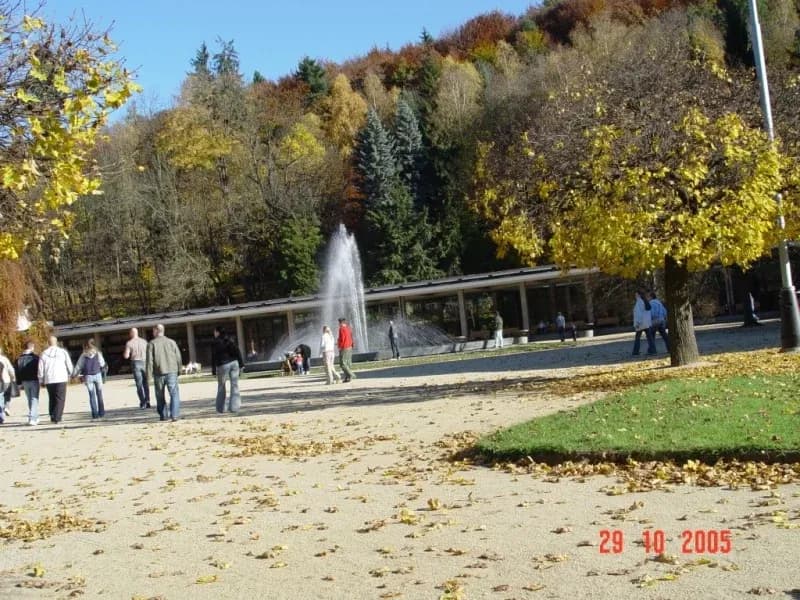 Ubytování  v soukromí - Zichová Jana, Luhačovice – náhled 21